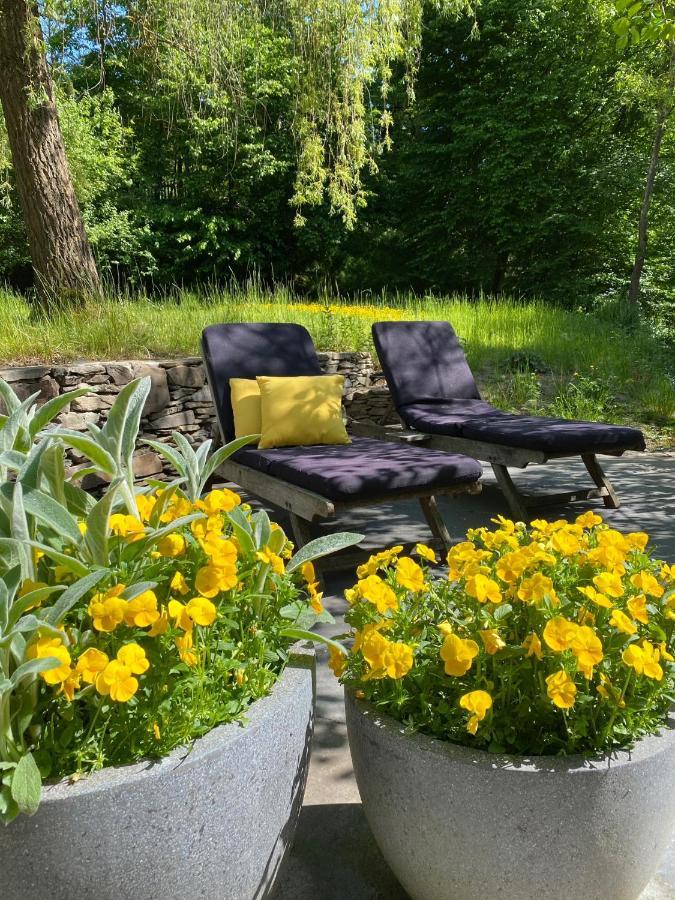 Loeffelmuehle Boutique Bed And Breakfast Pillig Zewnętrze zdjęcie